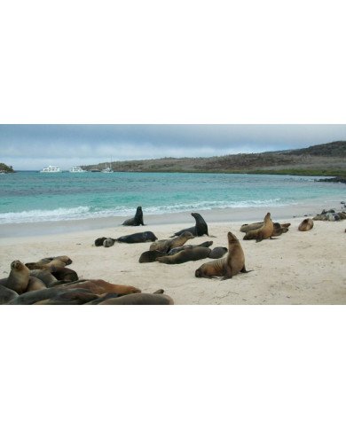 GALAPAGOS BASICO  3 DIAS  2023