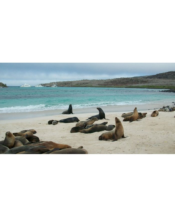 GALAPAGOS BASICO  3 DIAS  2023