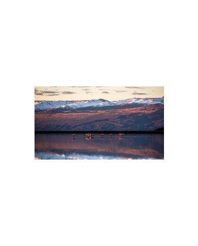 HIELOS MILENARIOS 2023-2024