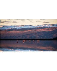 HIELOS MILENARIOS 2023-2024