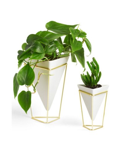 Jarrones Trigg 16x20 cm Oro blanco (2Set)