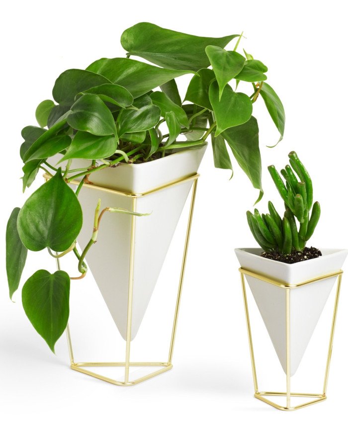 Jarrones Trigg 16x20 cm Oro blanco (2Set)